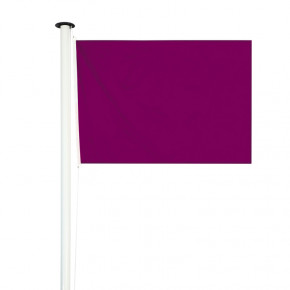 Drapeau de baignade réglementaire violet