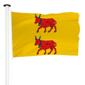 Drapeau Province Béarn MACAP