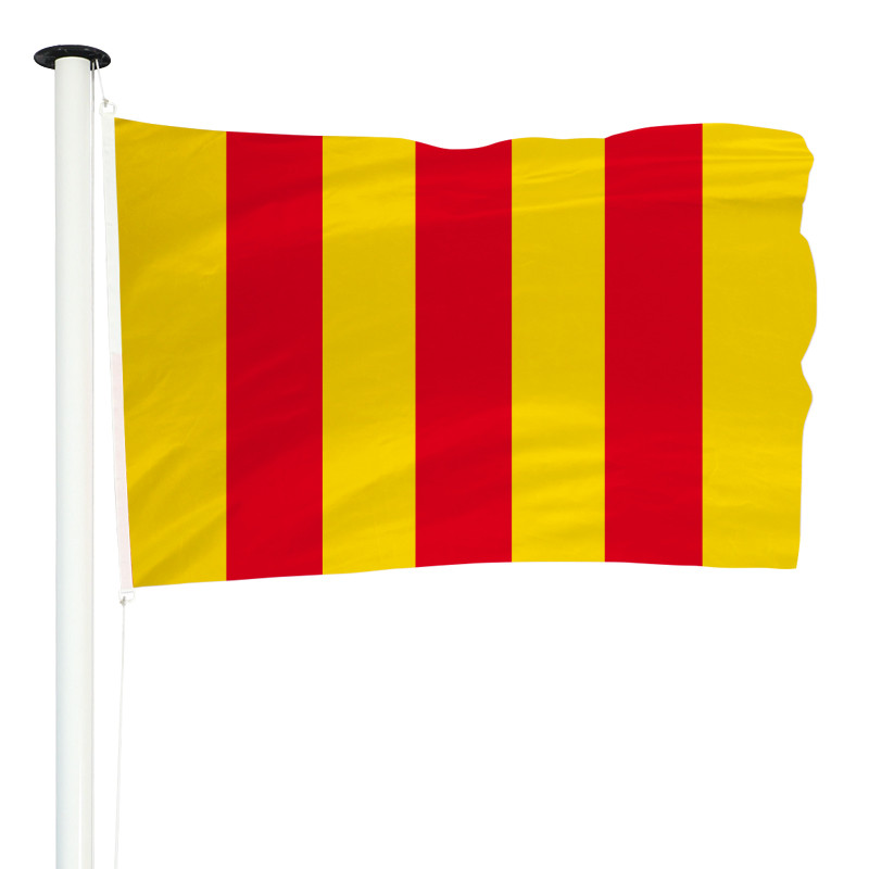 Drapeau Province Comté de Foix MACAP