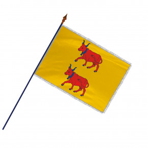 Drapeau Province Béarn avec hampe, franges et galon argent | MACAP