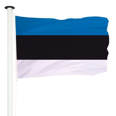 Drapeau officiel Estonie pour mât