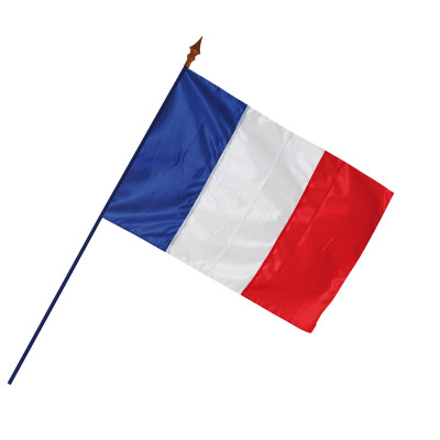 Drapeau France officiel sur hampe