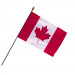 Drapeau Canada avec hampe (Officiel)