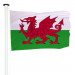Drapeau Pays de Galles (Officiel)