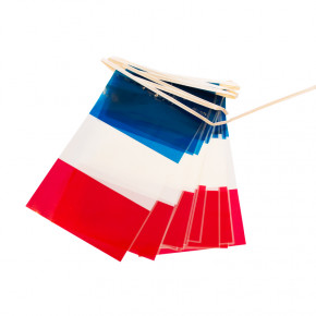 Guirlande FRANCE en PVC : 4 mètres (Lot de 10 ex.)