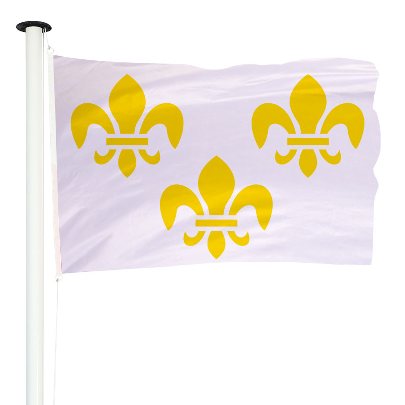 DRAPEAU ROYAUME DE FRANCE