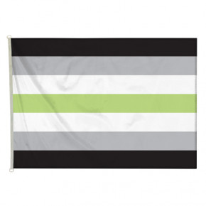 Drapeau LGBT Agenre (forme horizontale) - MACAP