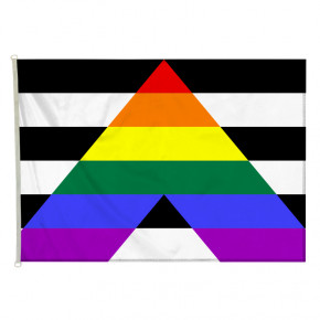 Drapeau LGBT Alliance gay-hétéro (forme horizontale) - MACAP