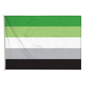 Drapeau LGBT Aromantique (forme horizontale) - MACAP