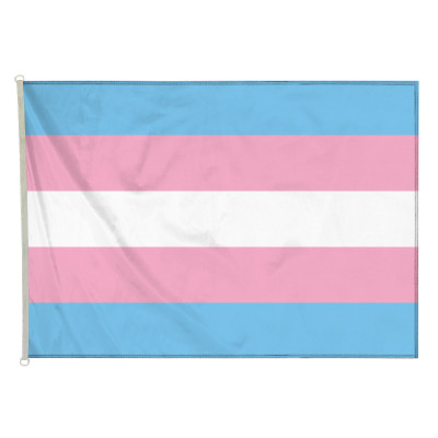 Drapeau LGBT Transgenre