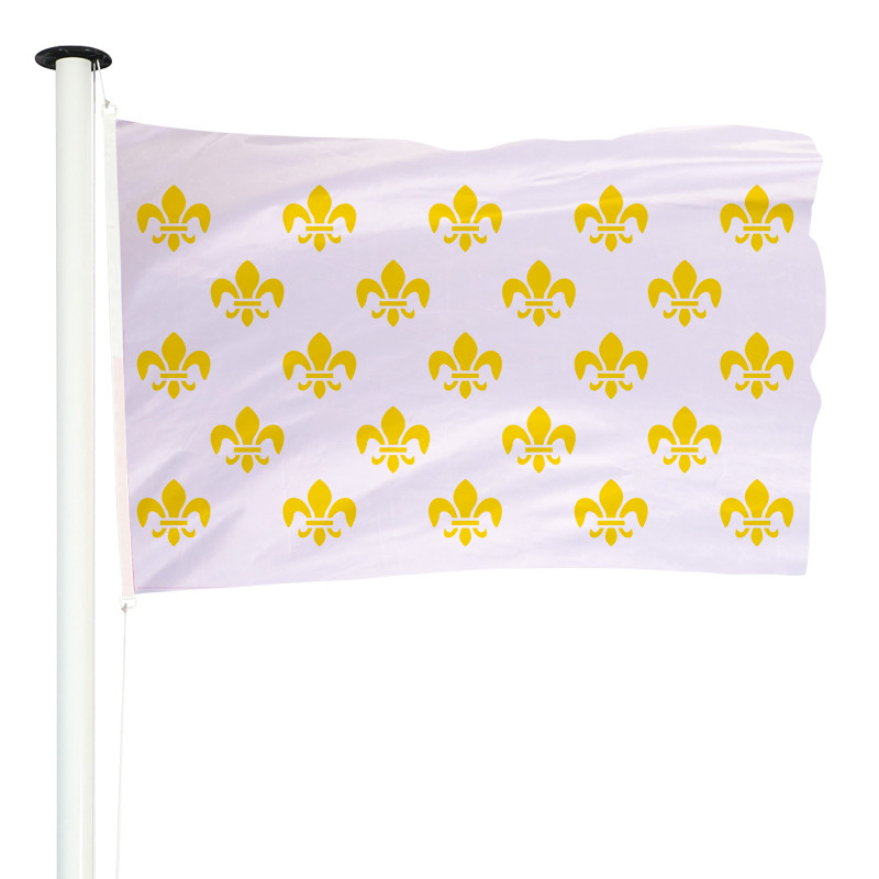Drapeau Royaume de France pour mât (modèle 2)
