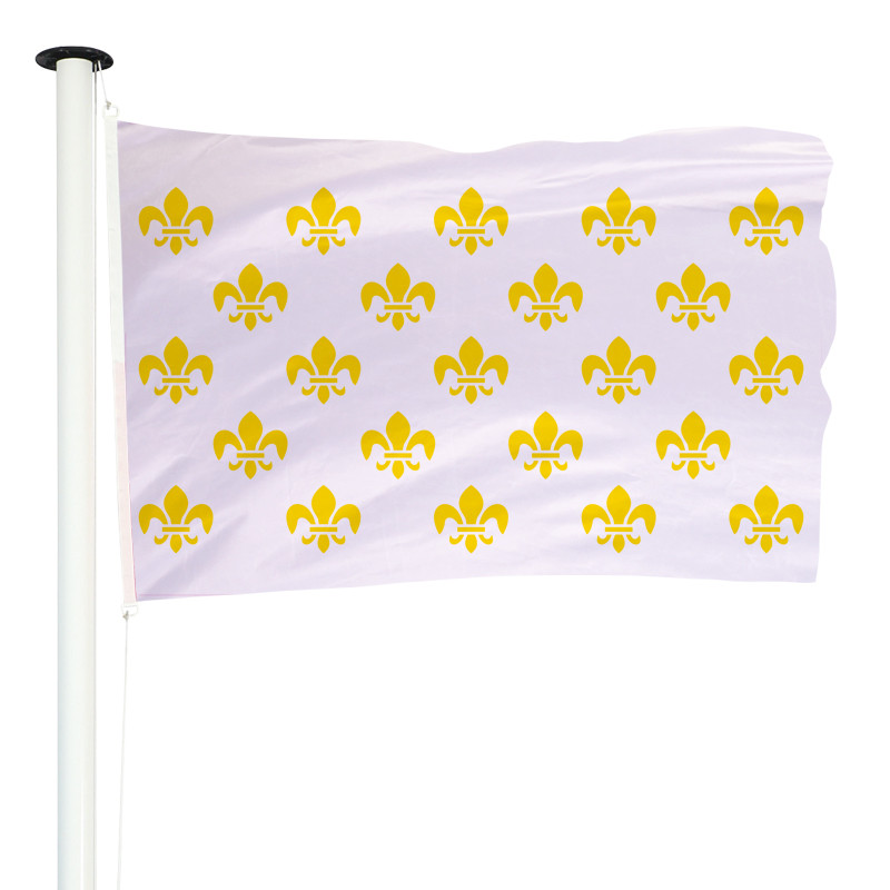 Drapeau Blanc 23 fleurs de lys : pour mât