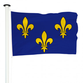 Drapeau Bleu fleurs de lys : pour mât