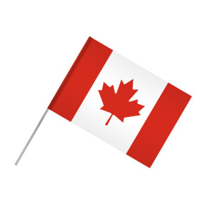 Drapeau à agiter : "Pays alliés du Débarquement" (Hampe en plastique) - Canada
