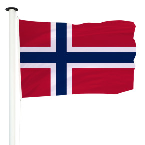 Drapeau Norvège : pour mât (Officiel)