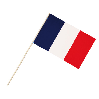 Lot de 100 drapeaux France à agiter dimensions 10x15 cm