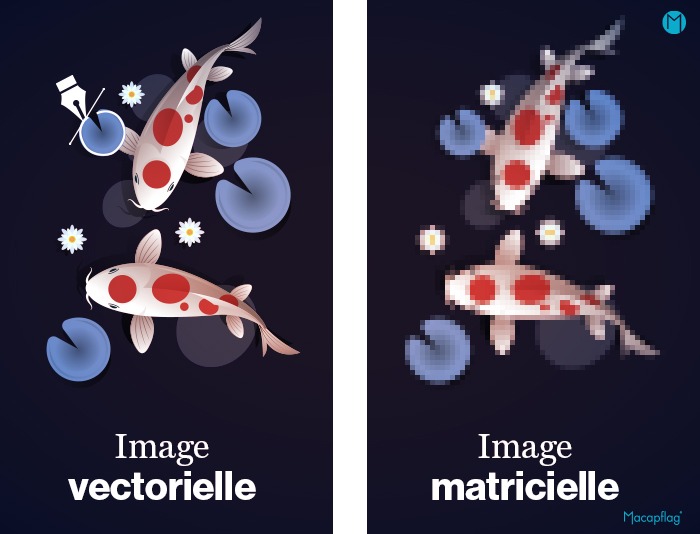 Une image vectorielle est composée d'éléments mathématiques