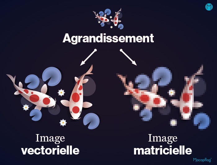 Lorsqu'on agrandit une image vectorielle elle ne change pas