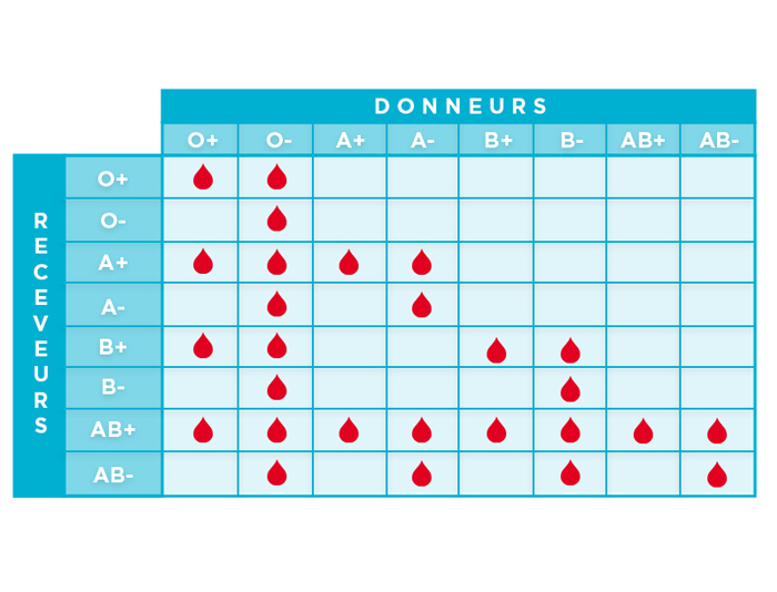 La transfusion passe par une compatibilité des groupes sanguins