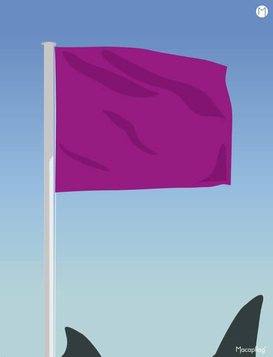 Drapeau violet rectangulaire des drapeaux de baignade réglementaires