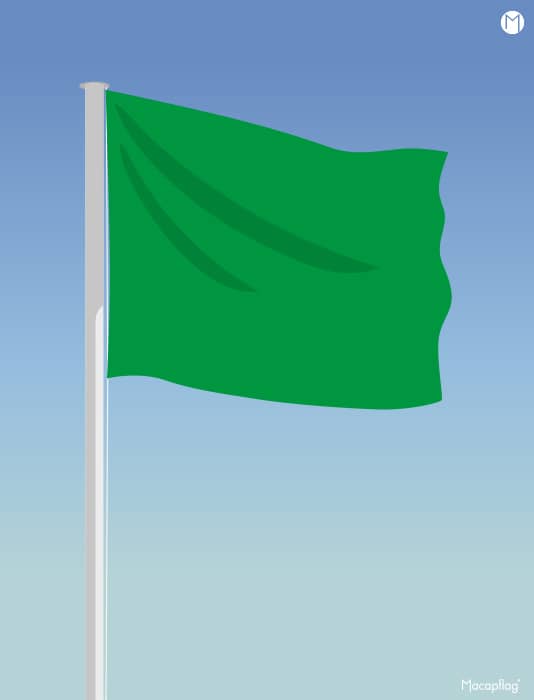 Drapeau vert rectangulaire des drapeaux de baignade réglementaires