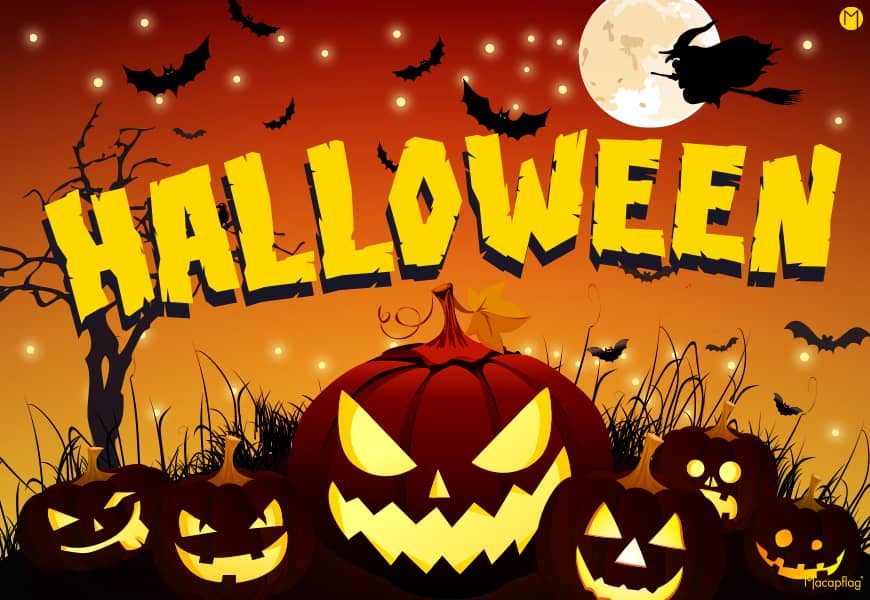 Tremblez… C'est bientôt Halloween ! - Blog - Macap