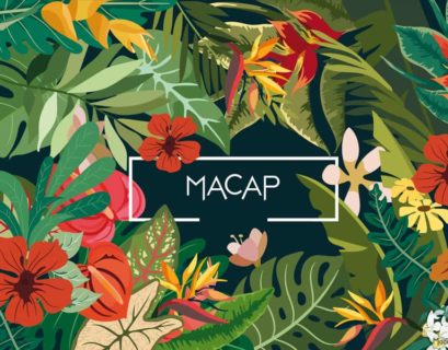 Macap vous présente ses vœux 2022