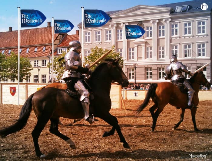 Drapeau personnalisable en forme d'écu