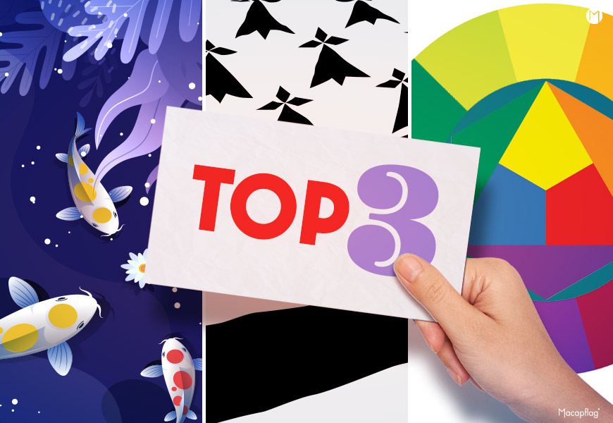 Top 3 des articles du blog Macap 2023