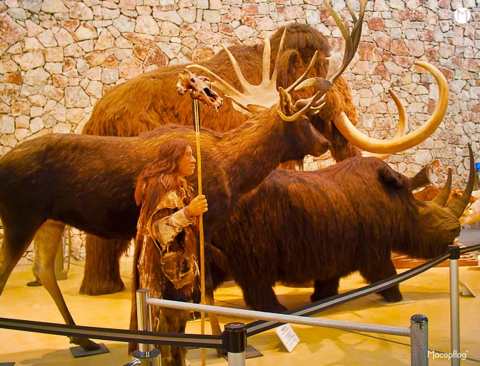 Les drapeaux étaient utilisés dès la préhistoire