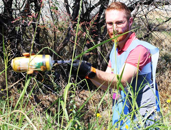 Romain Sparapani World cleanup day Macap