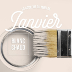 Blanc chaud cloud dancer couleur du mois de janvier
